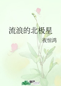 苏晴陆铭煜小说全文阅读正版